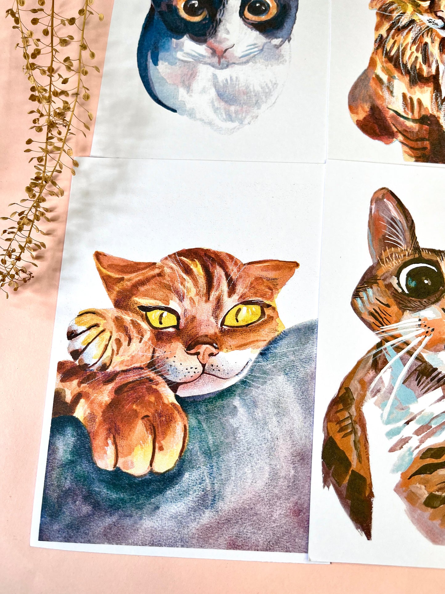 Cat Portrait Postcards