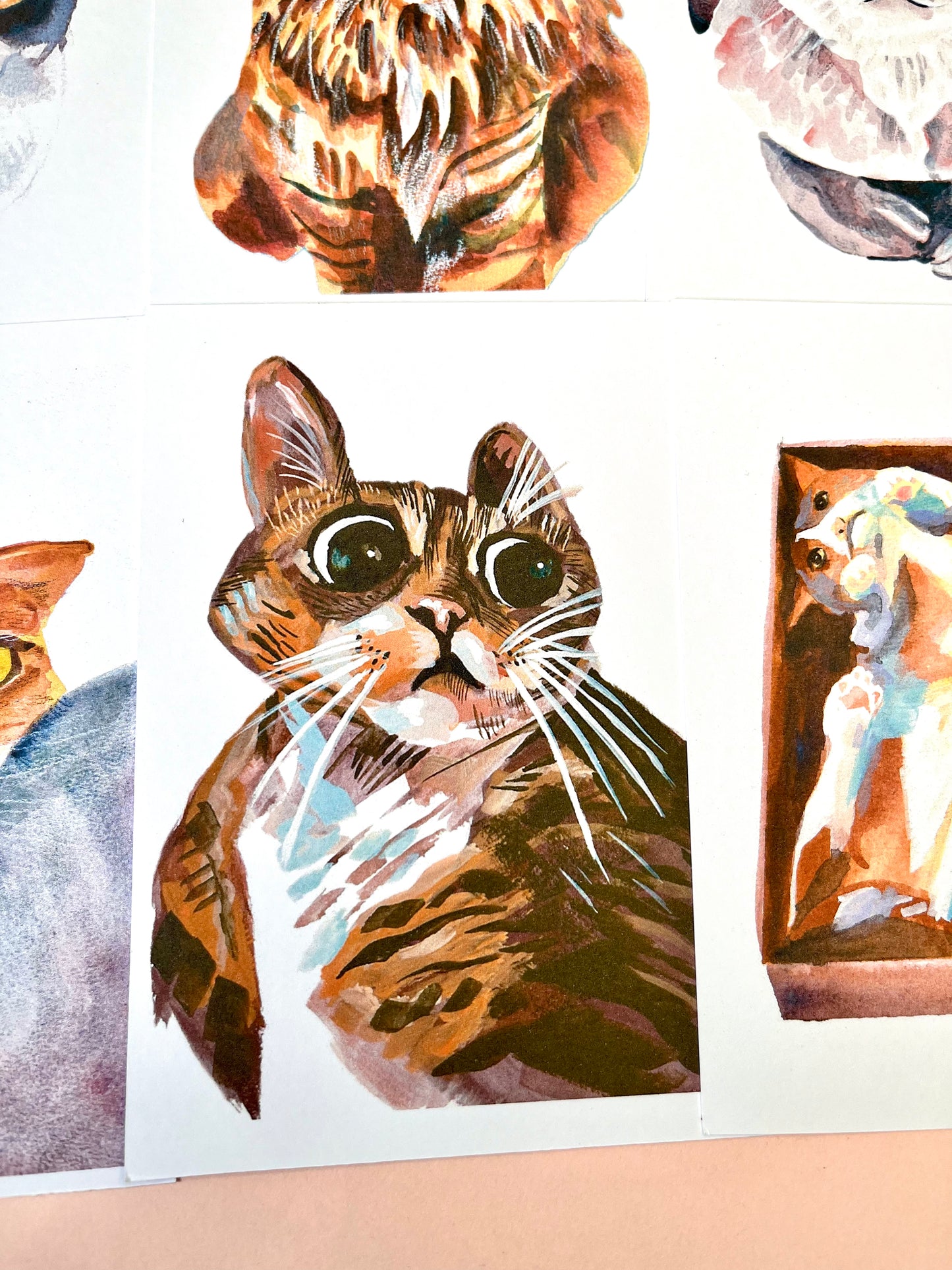 Cat Portrait Postcards