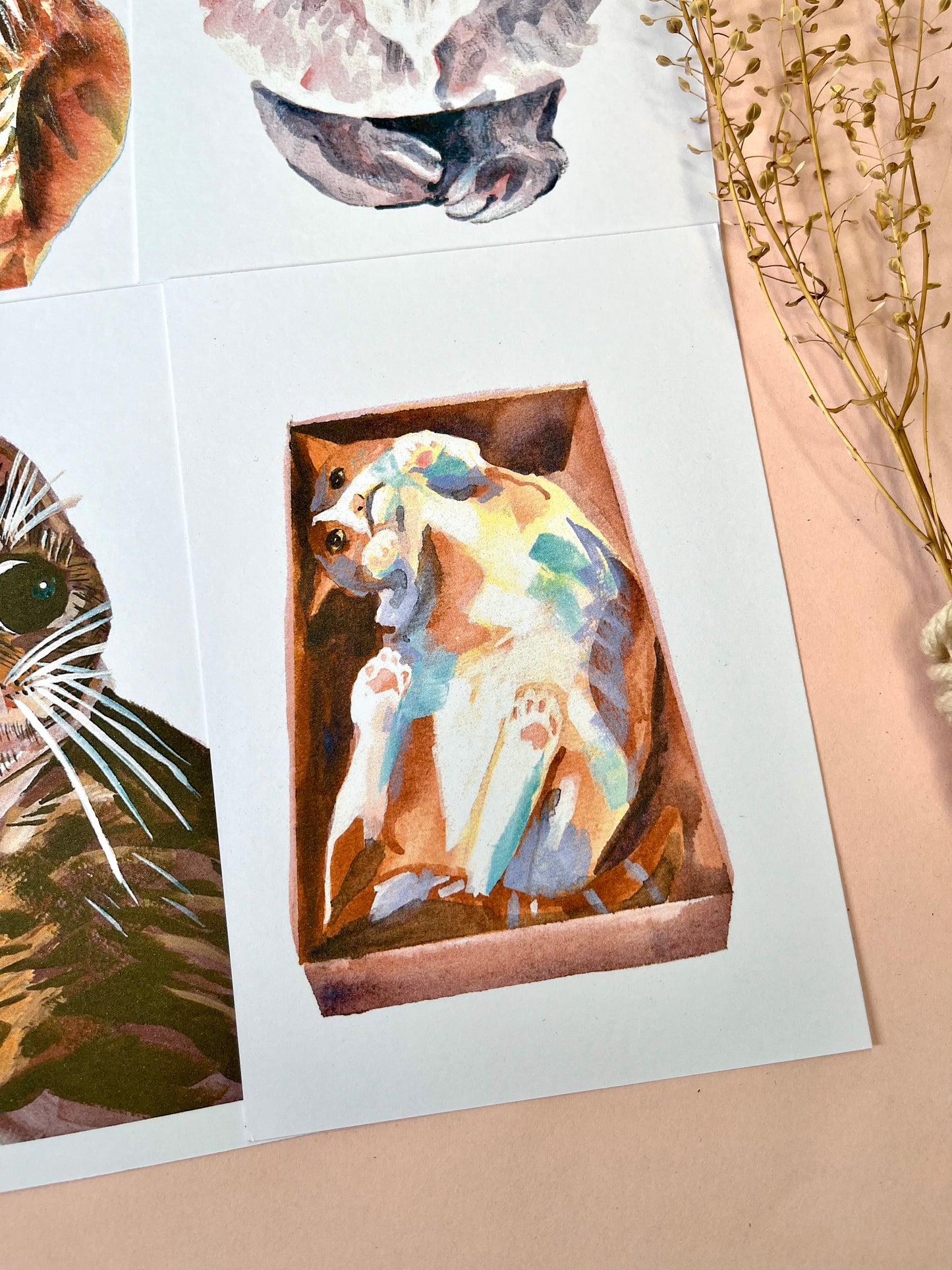 Cat Portrait Postcards