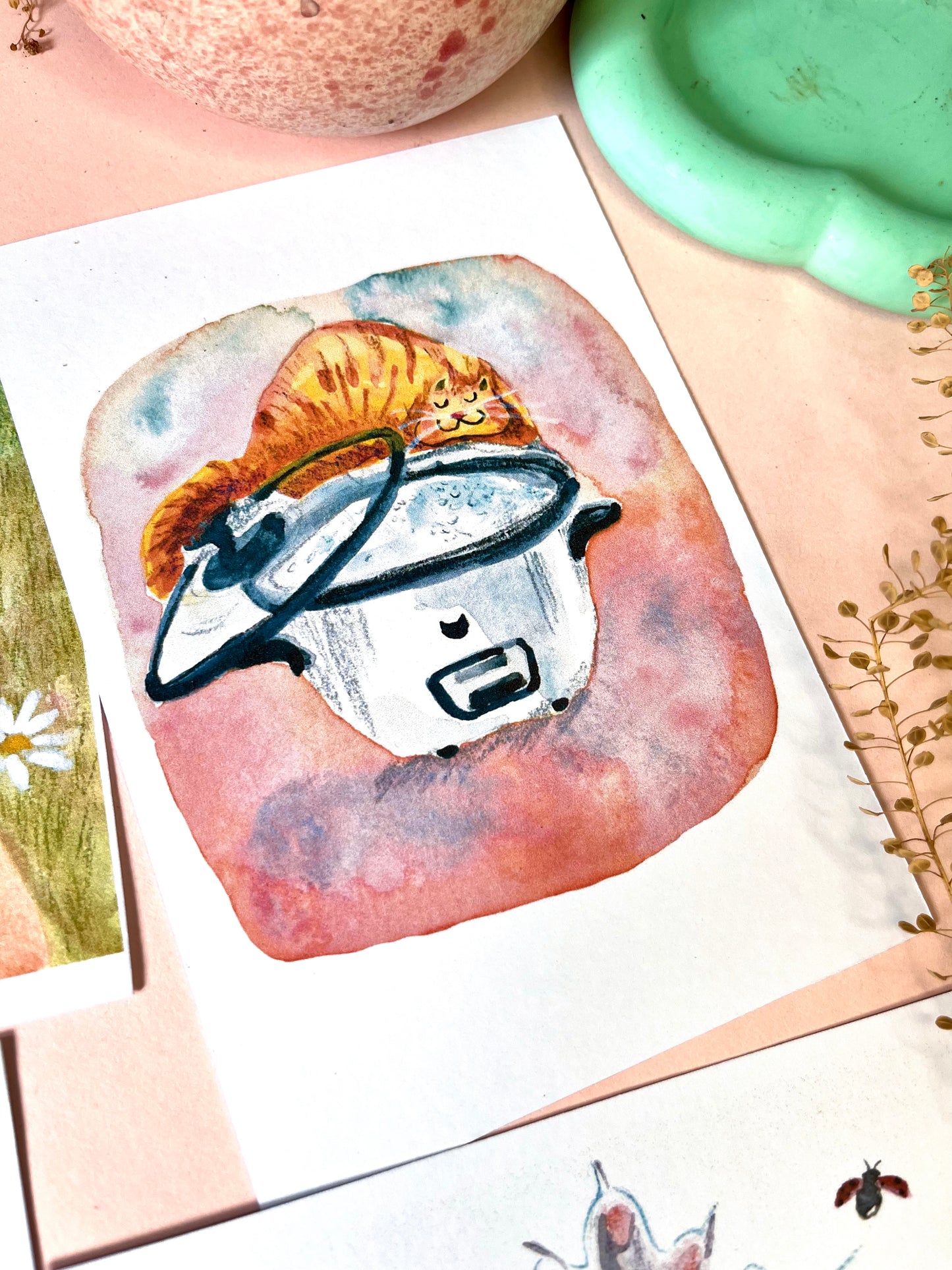 Cat Illustrations Postcards