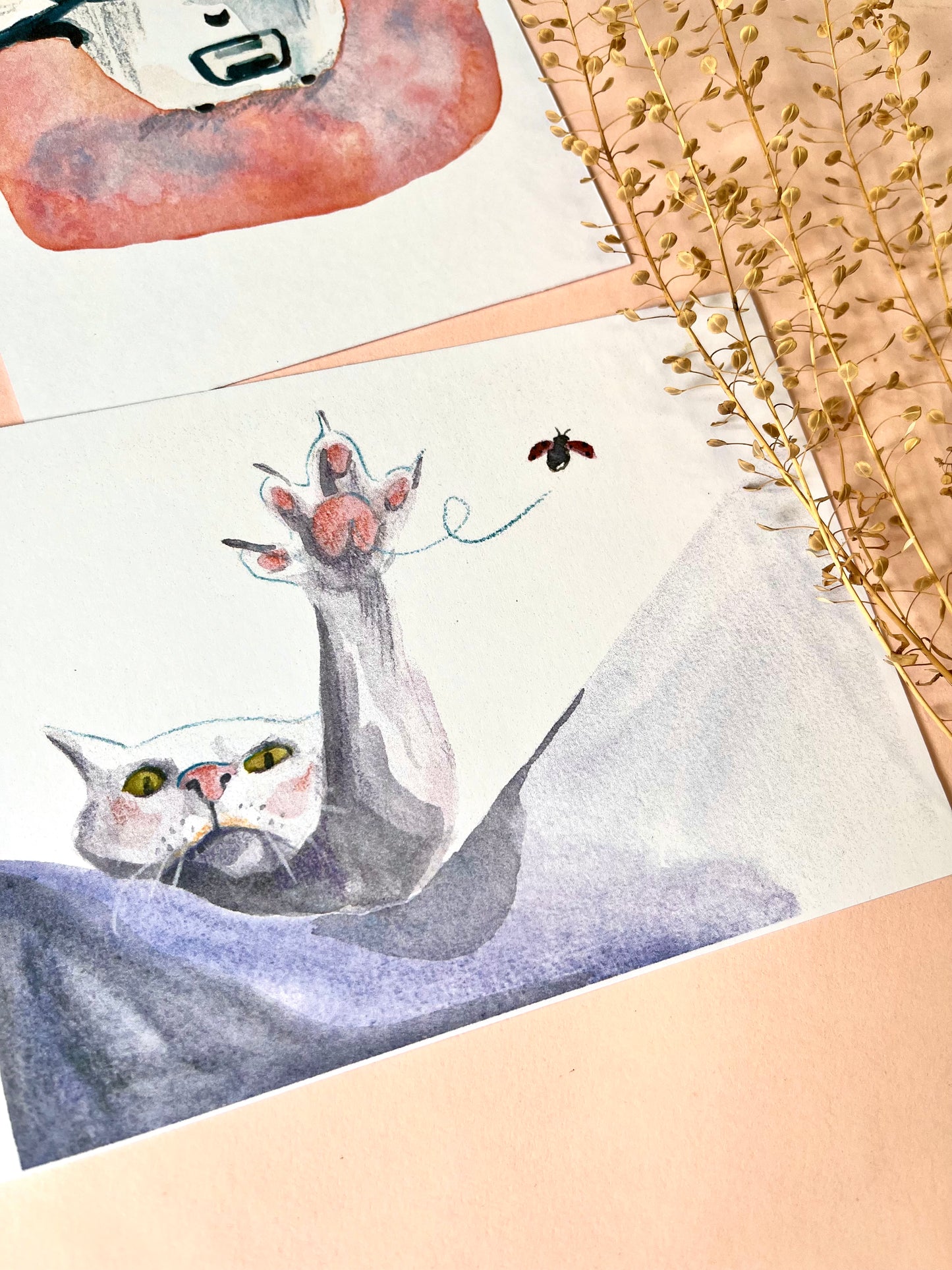 Cat Illustrations Postcards