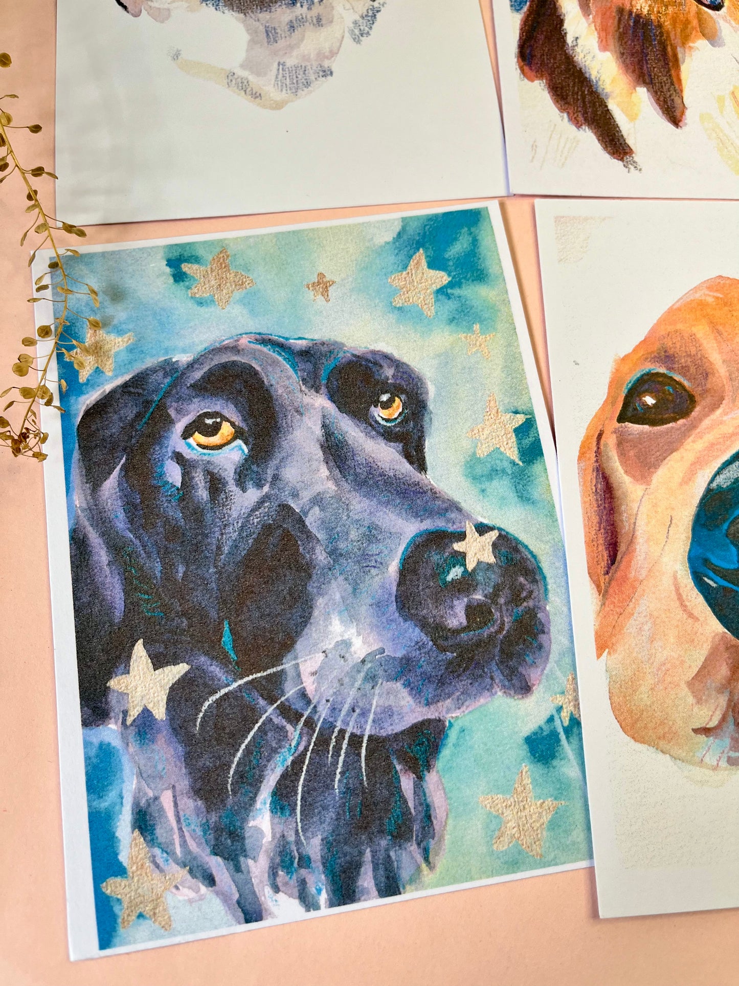 Dog Postcards