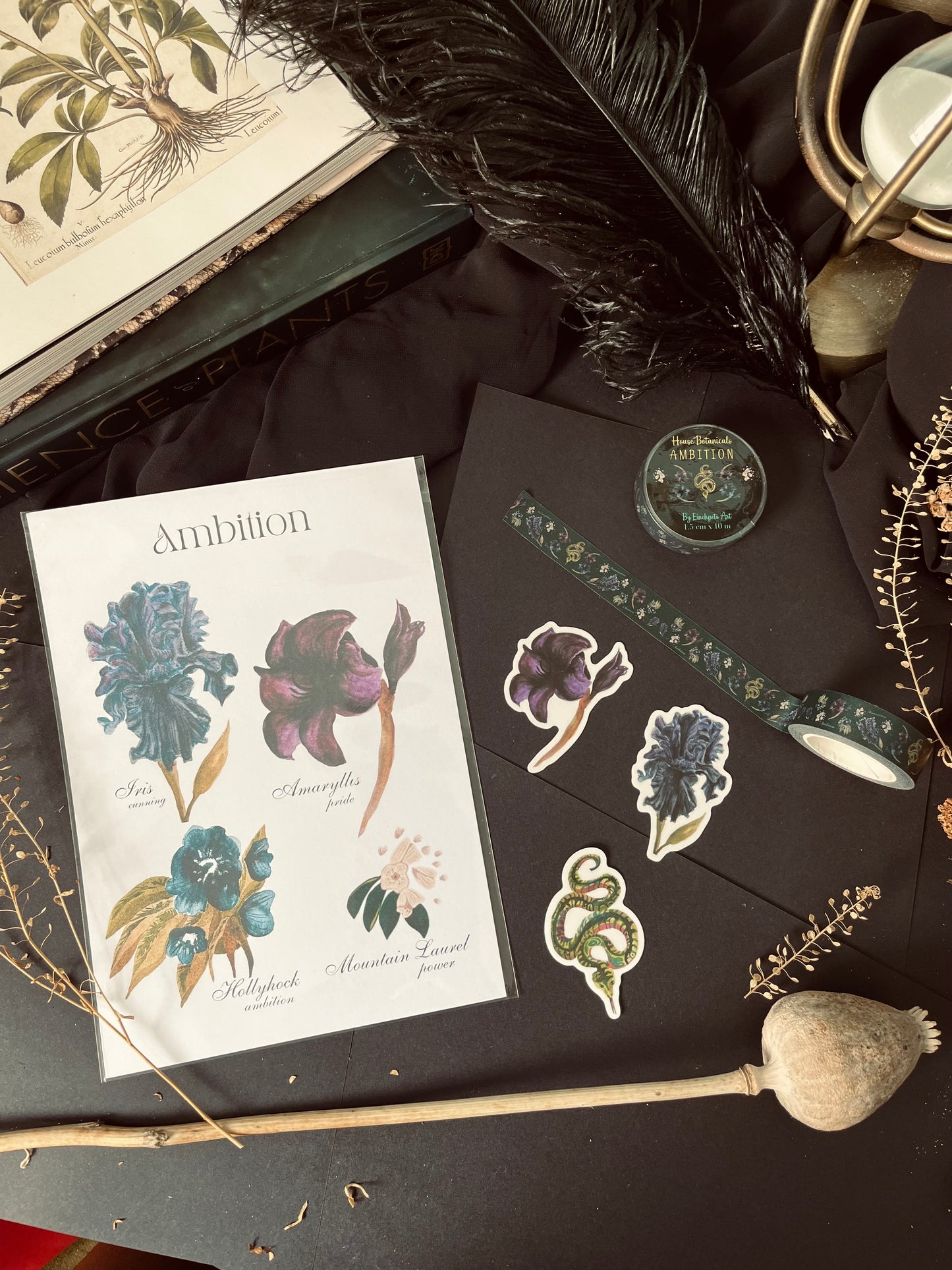 Hogwarts House Botanical Set