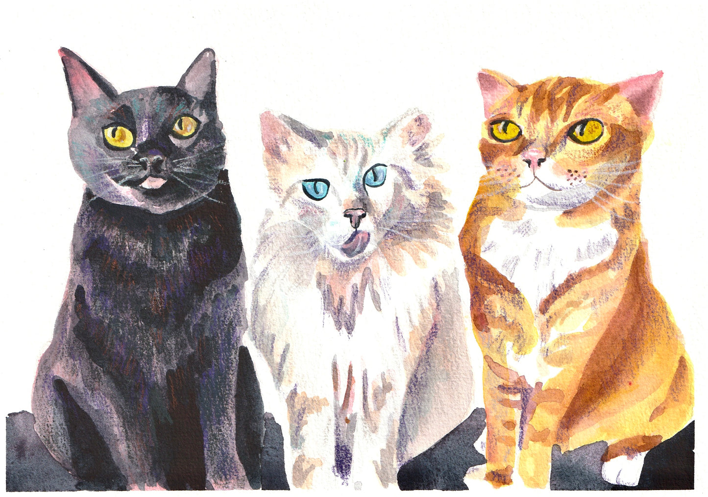 Pet Portrait Commission