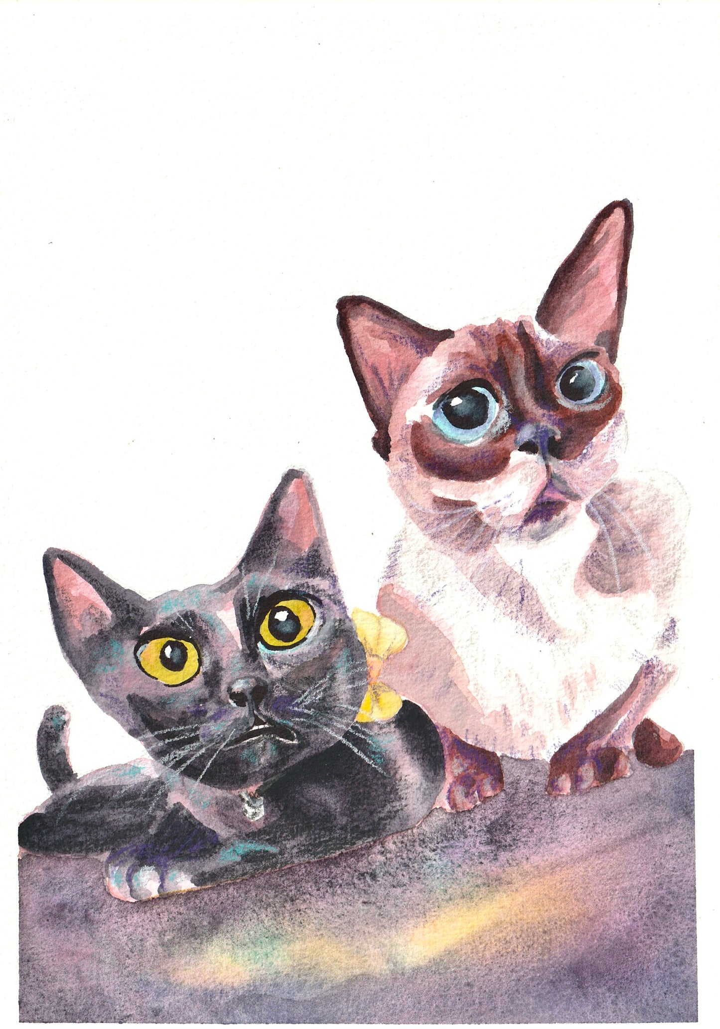 Pet Portrait Commission