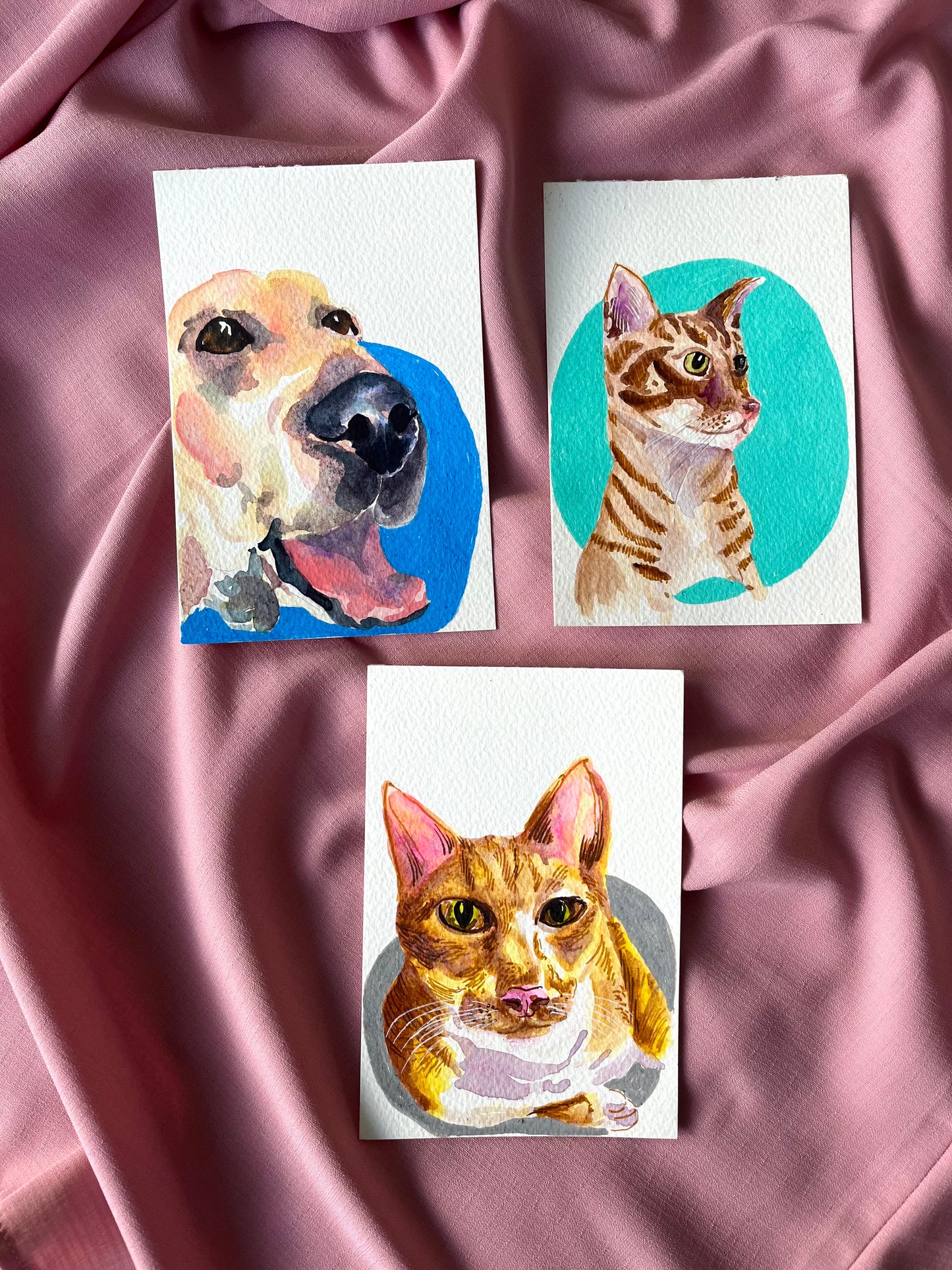 Pet Portrait Commission